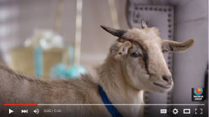 Bebe in her commercial debut